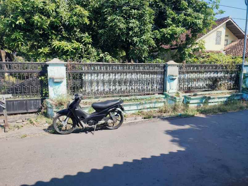 dijual cepat tanah murah di desa pati lor jawa tengah