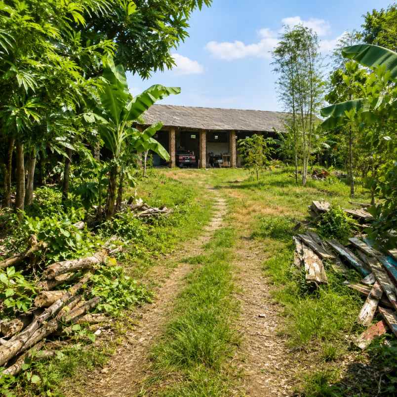 dijual lahan dan restaurant kraksaan probolinggo