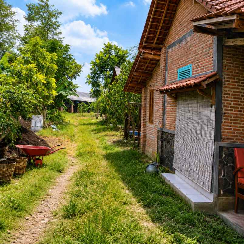 dijual lahan dan restaurant kraksaan probolinggo