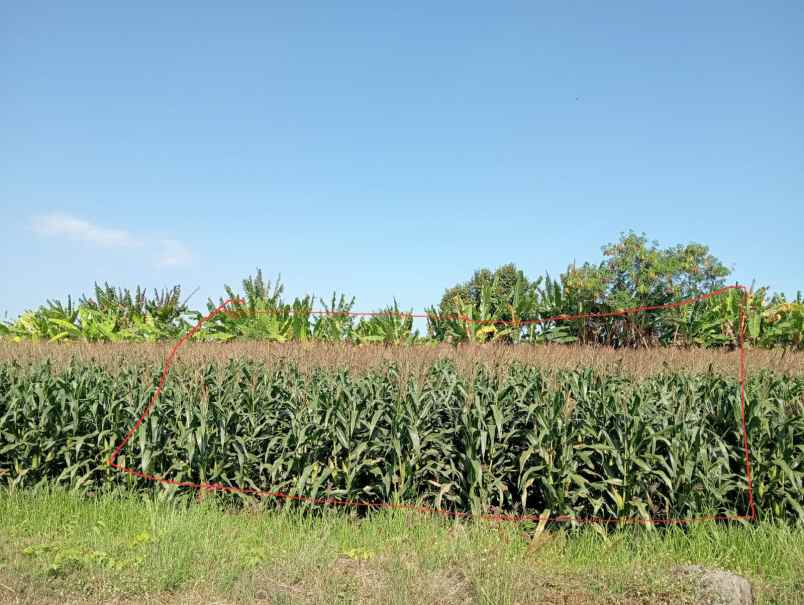 dijual lahan murah view pantai dan hadap barat sunset
