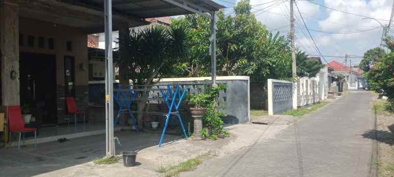 dijual rumah dijual rumah di rogojampi