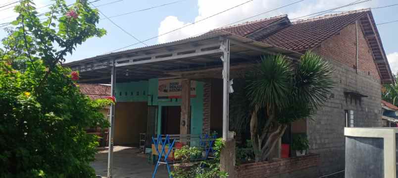 dijual rumah dijual rumah di rogojampi