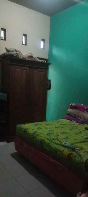 dijual rumah dijual rumah di rogojampi