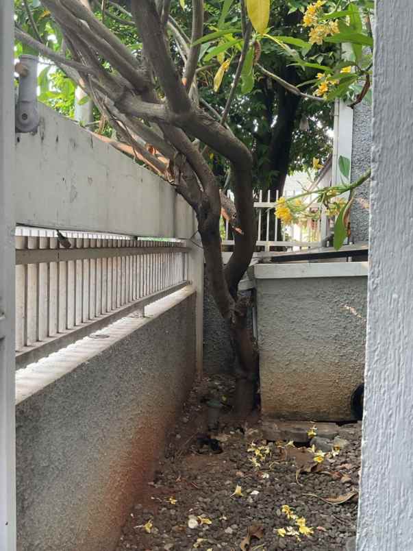 dijual rumah jalan cempaka putih timur