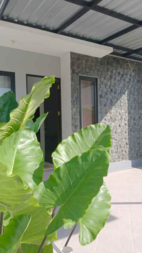 dijual rumah jumputrejo regency