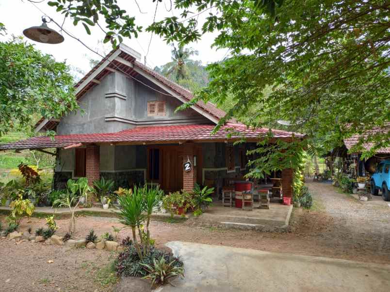 Rumah Luas Harga Murah Nego Include Kebun Lokasi Di Kasembon