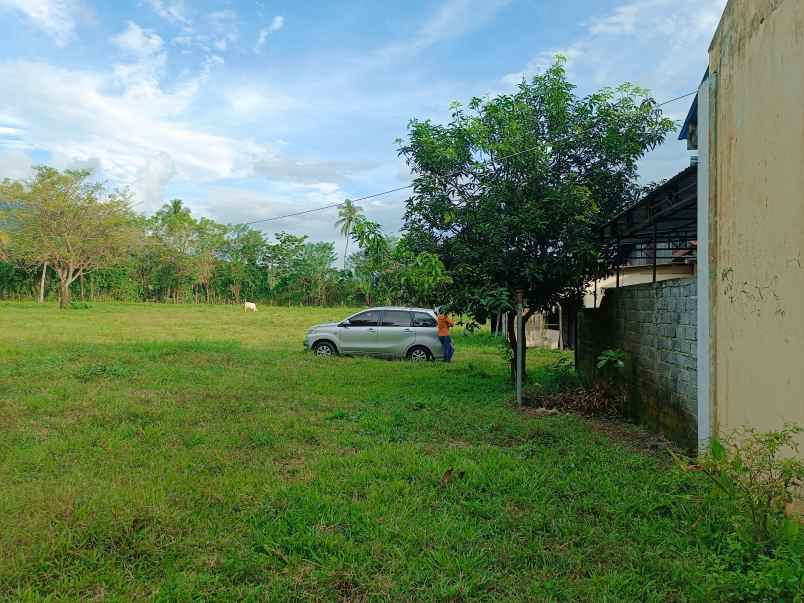 dijual rumah seharga 600jt di bolaang sukawesi utara