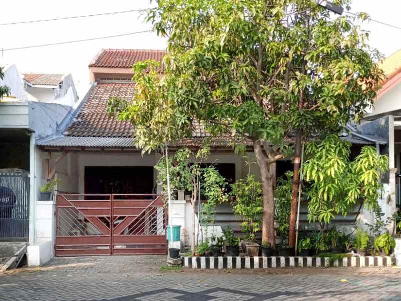 dijual rumah siap huni pandugo rungkut merr rev a620