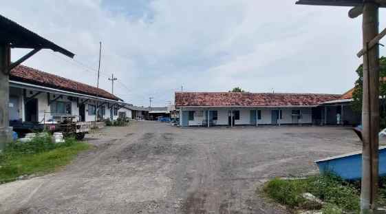 dijual tambak udang vaname aktif di situbondo