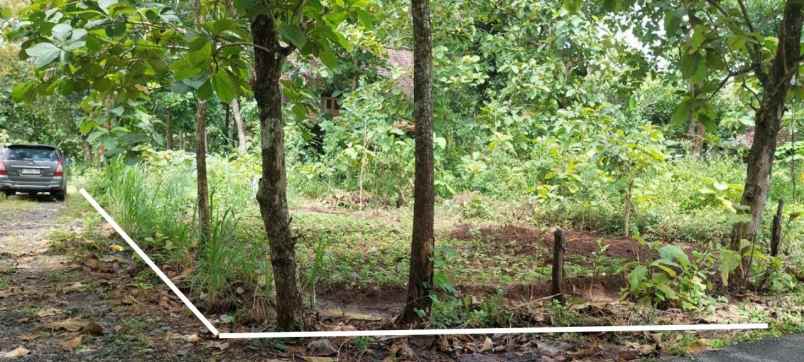 dijual tanah 130 m pajangan