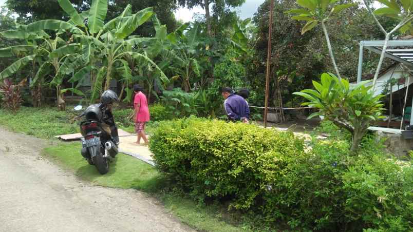 dijual tanah bambanglipuro bantul