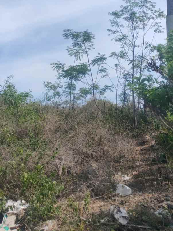 dijual tanah belakang poltek kampial