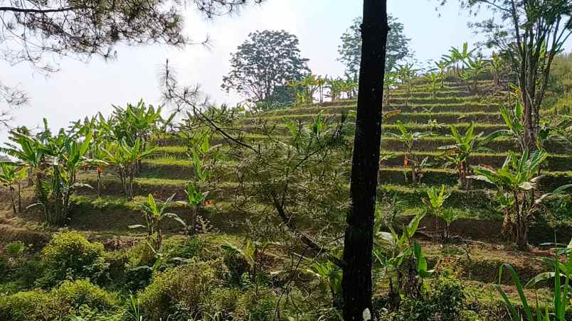 dijual tanah cembor 1