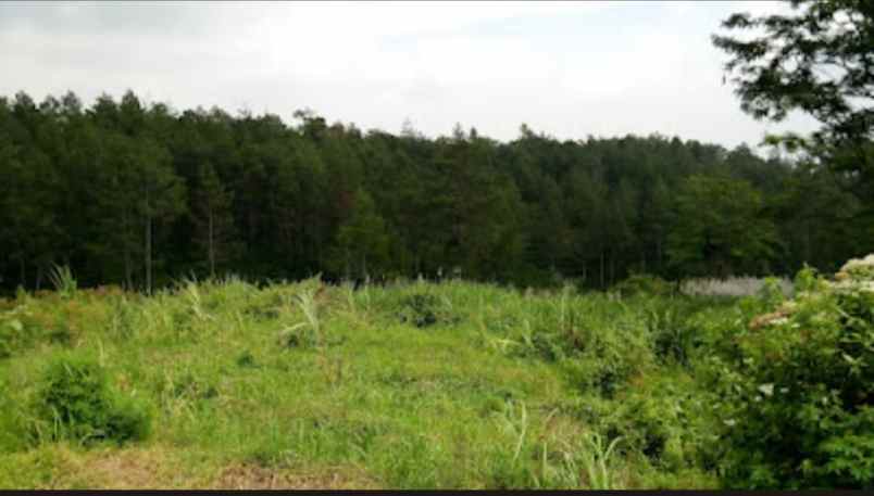 dijual tanah cembor 1