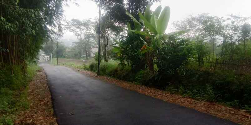 dijual tanah cilimus