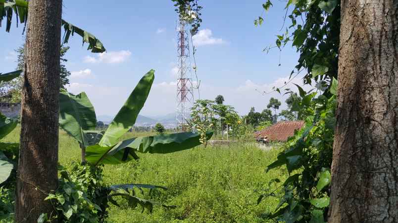 dijual tanah ciloa