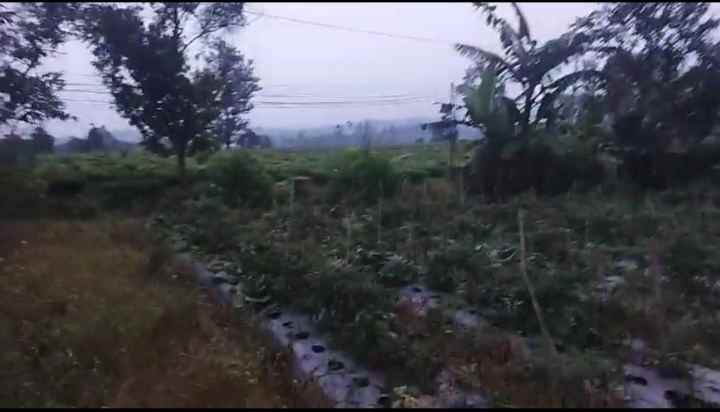dijual tanah cipada