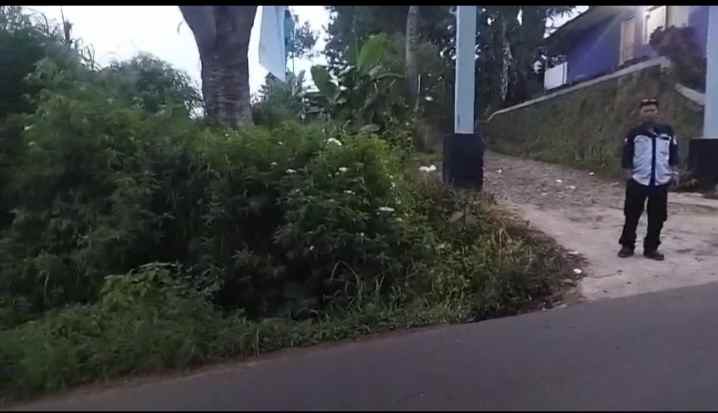dijual tanah cipada