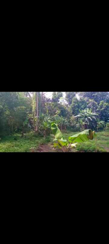 dijual tanah cirangkong cemplang