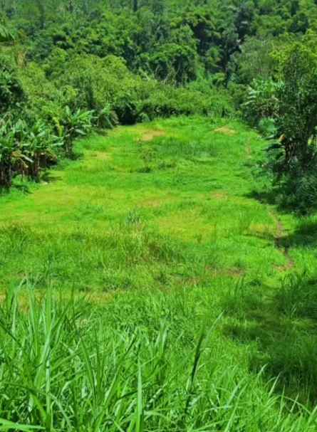 dijual tanah dengan pemandangan terbuka yang indah
