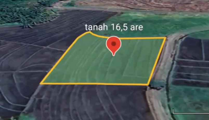 dijual tanah desa berembeng selemadeg