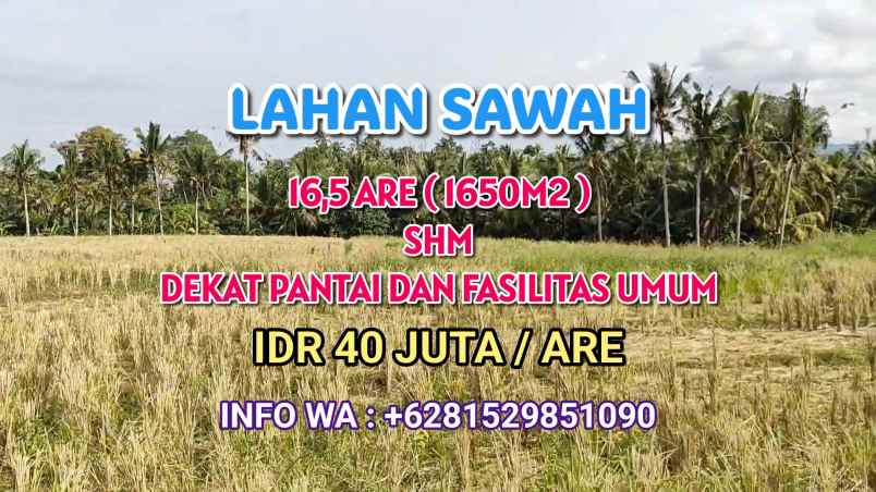 dijual tanah desa berembeng selemadeg