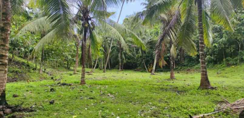dijual tanah desa lalanglingah kec