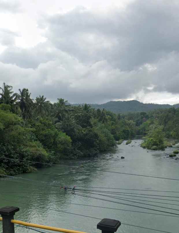 dijual tanah desa lalanglingah kec