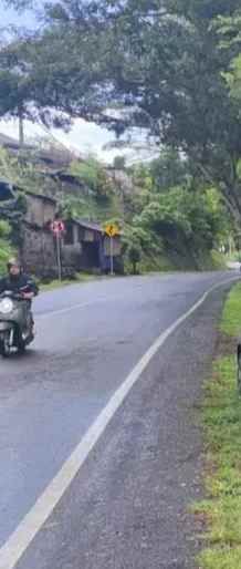 dijual tanah desa lalanglingah kec
