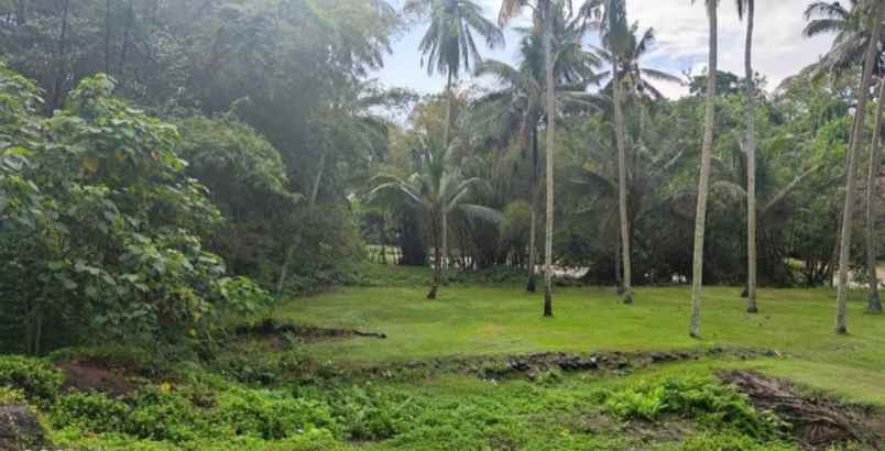 dijual tanah desa lalanglingah kec