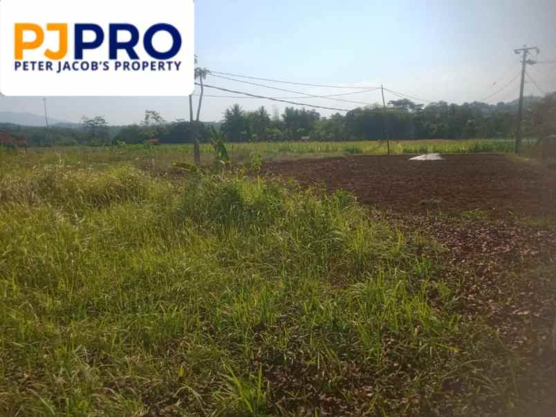 dijual tanah desa sukatali