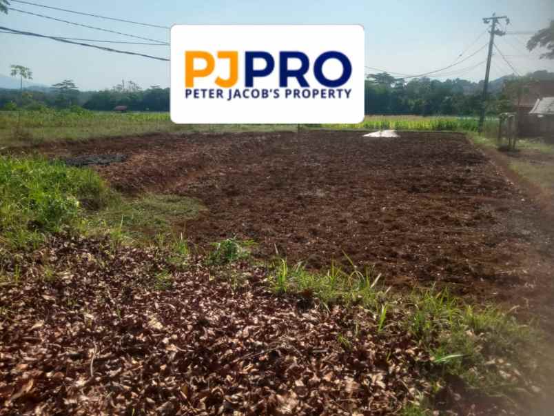 dijual tanah desa sukatali