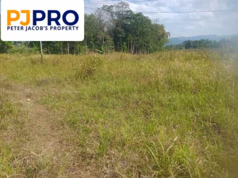 dijual tanah desa sukatali