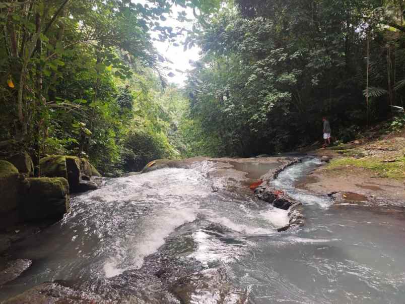 dijual tanah desa wisata dalang