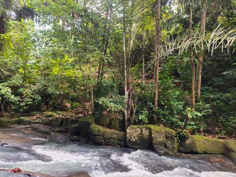 dijual tanah desa wisata dalang