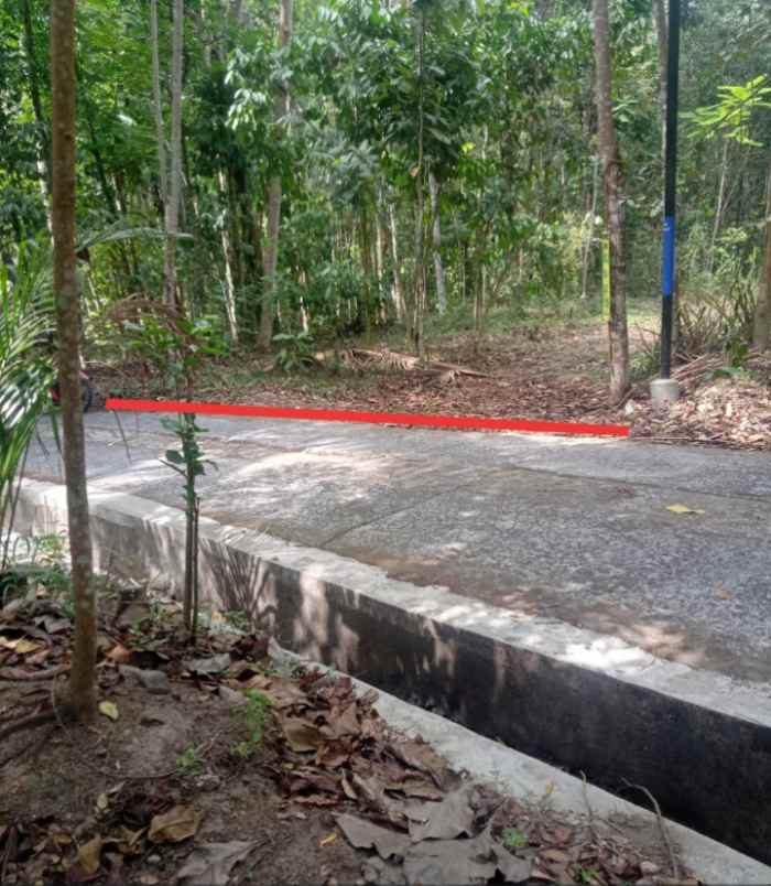 dijual tanah di glagaharjo kec cangkringan kab sleman