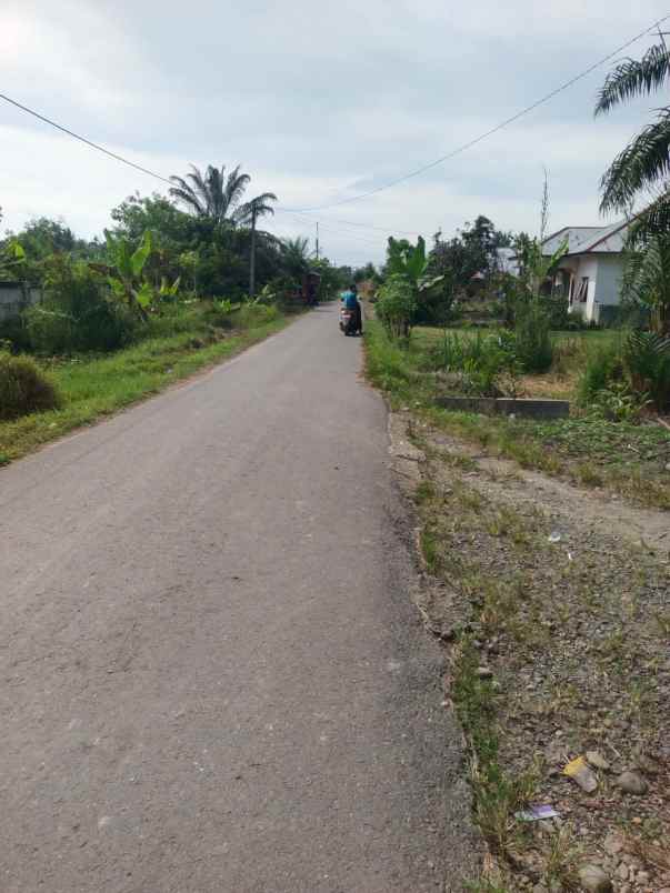 dijual tanah di kuala bingai stabat langkat