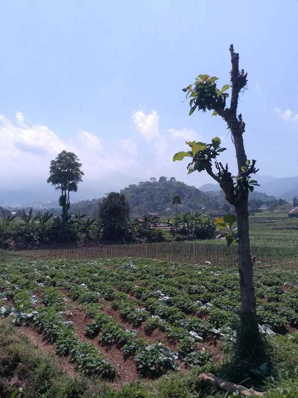 dijual tanah dijual tanah di jl