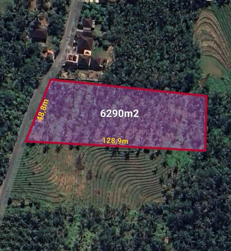 dijual tanah ds tireman kec selemadeg