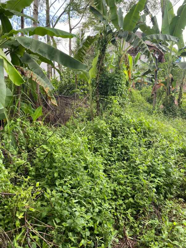 dijual tanah dukuh pomah