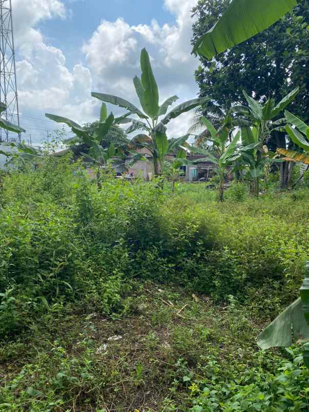 dijual tanah dukuh pomah