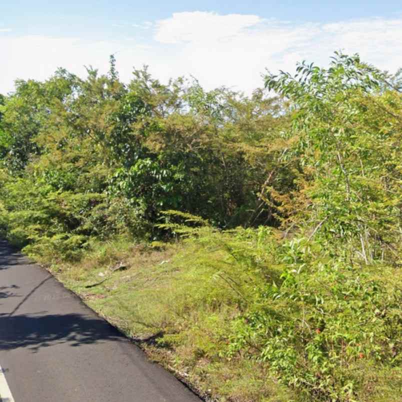 dijual tanah gwk gia gong