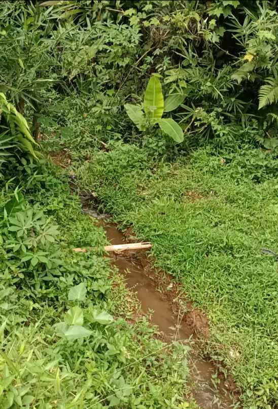 dijual tanah jalan bojonglongok oarakan