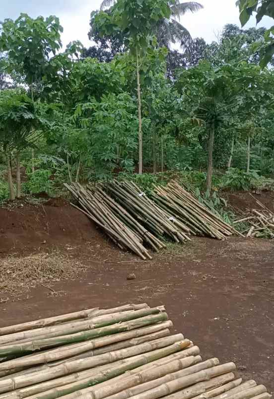 dijual tanah jalan bojonglongok oarakan