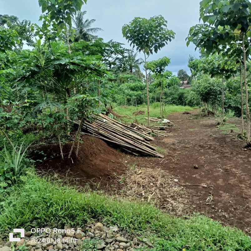 dijual tanah jalan bojonglongok oarakan