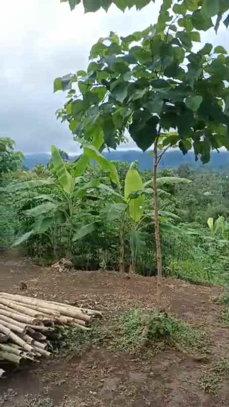 dijual tanah jalan bojonglongok oarakan