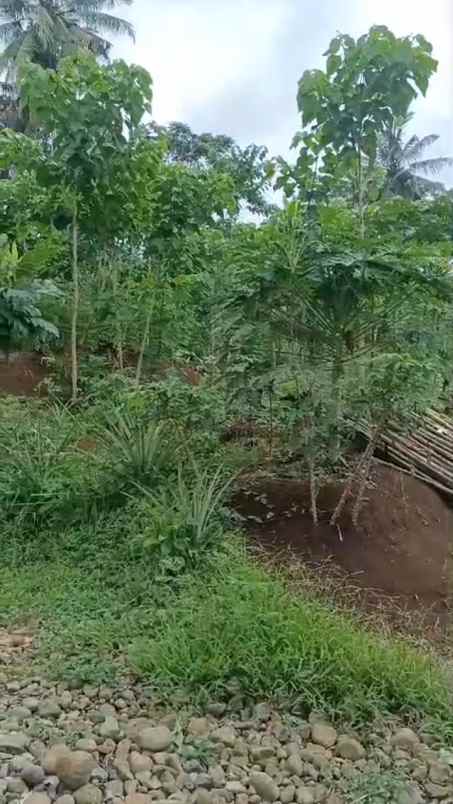 dijual tanah jalan bojonglongok oarakan