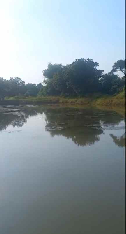 dijual tanah jalan desa kedungpandan