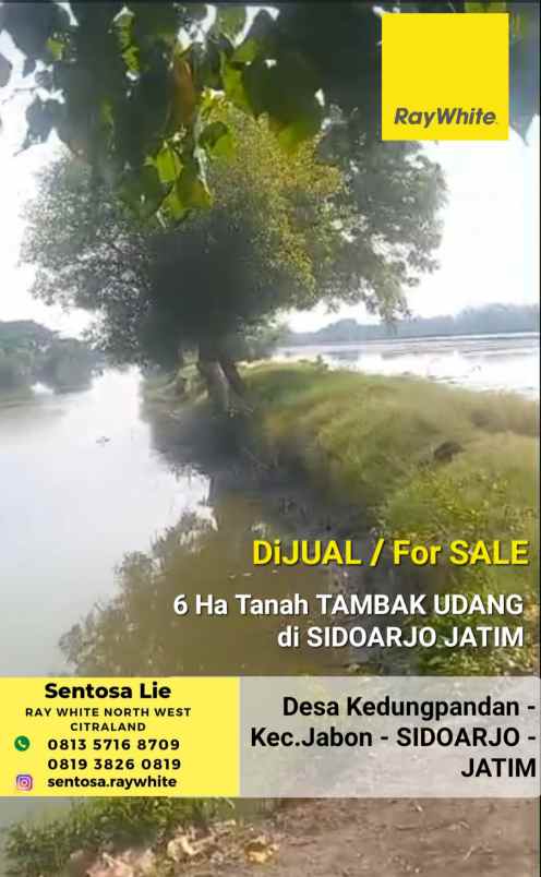 dijual tanah jalan desa kedungpandan