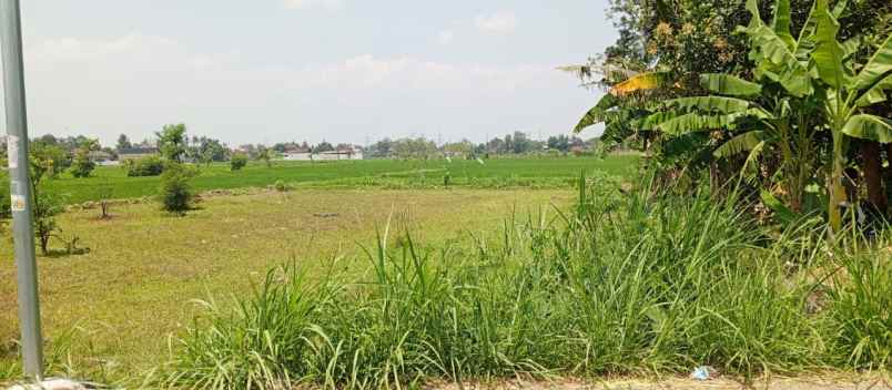 dijual tanah jalan dusun blunyahan